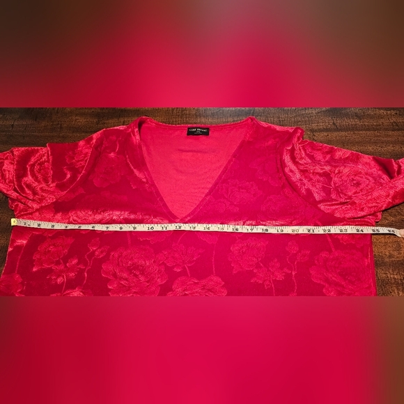 Lane Bryant Women's 22/24 Velvet Red Floral Long Sleeve V Neck Blouse Romantic - Picture 10 of 11